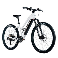 E-BIKE 29" ARIMO  LADY 19,5"-1 WHITE SHINY (REAR MOTOR)