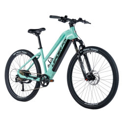E-BIKE 29" ARIMO  LADY 17,5"-3, GREEN LIGHT (REAR MOTOR)