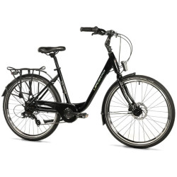 DOMESTA LADY 19",  BLACK SHINY