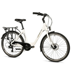 DOMESTA LADY 19", WHITE SHINY