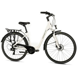 REGION LADY 17", WHITE SHINY