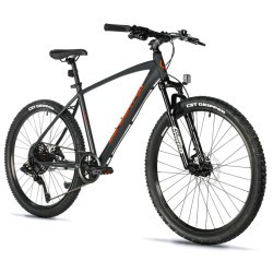 FACTOR BOY 16"-4, GREY MATT