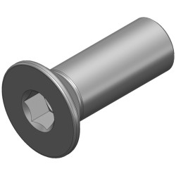 FS_332_R00 - SCREW_D8-M6_L22_CH