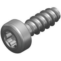 S_1318 - Screw_BN 20166_30x8